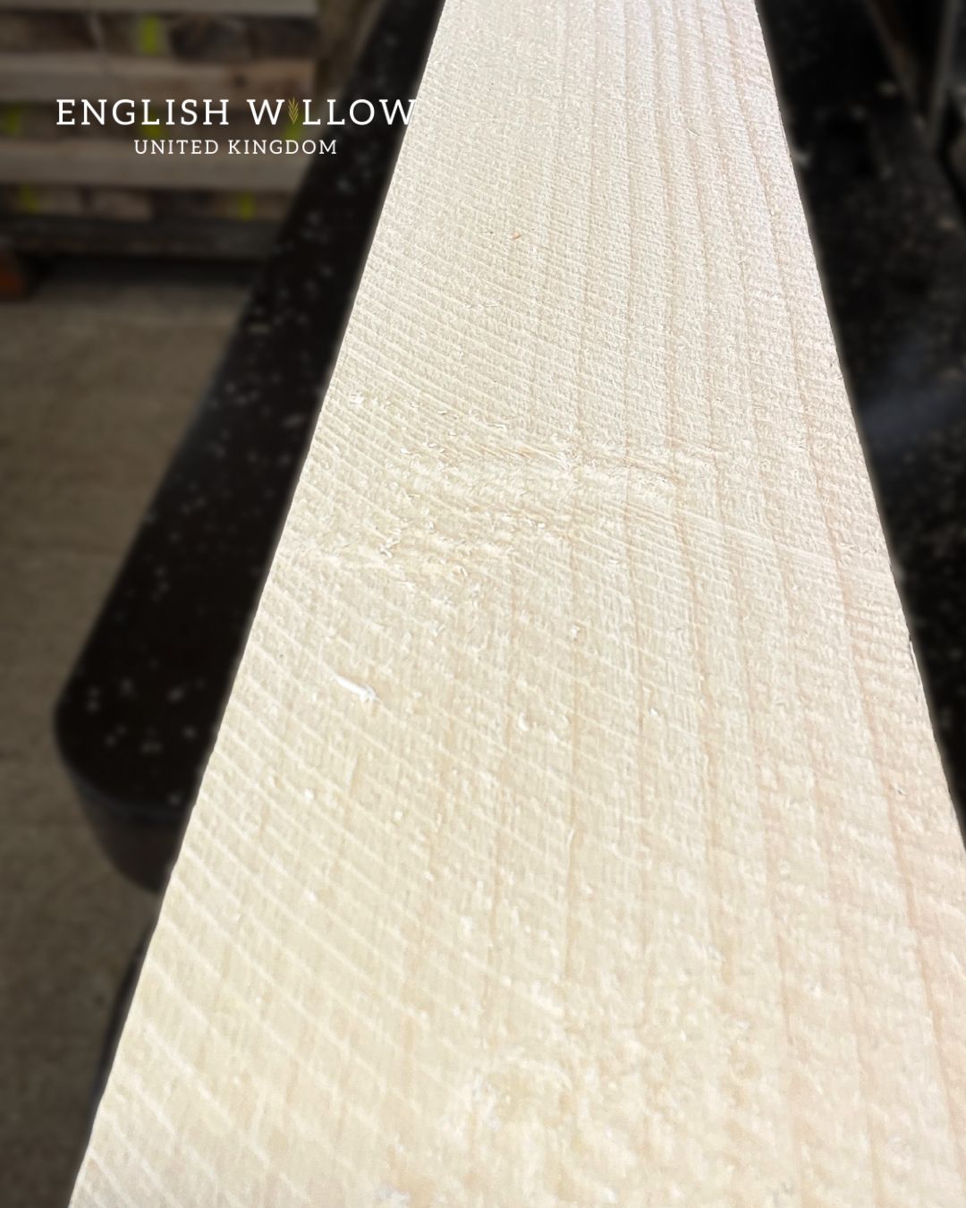 Grade 1 English willow cleft