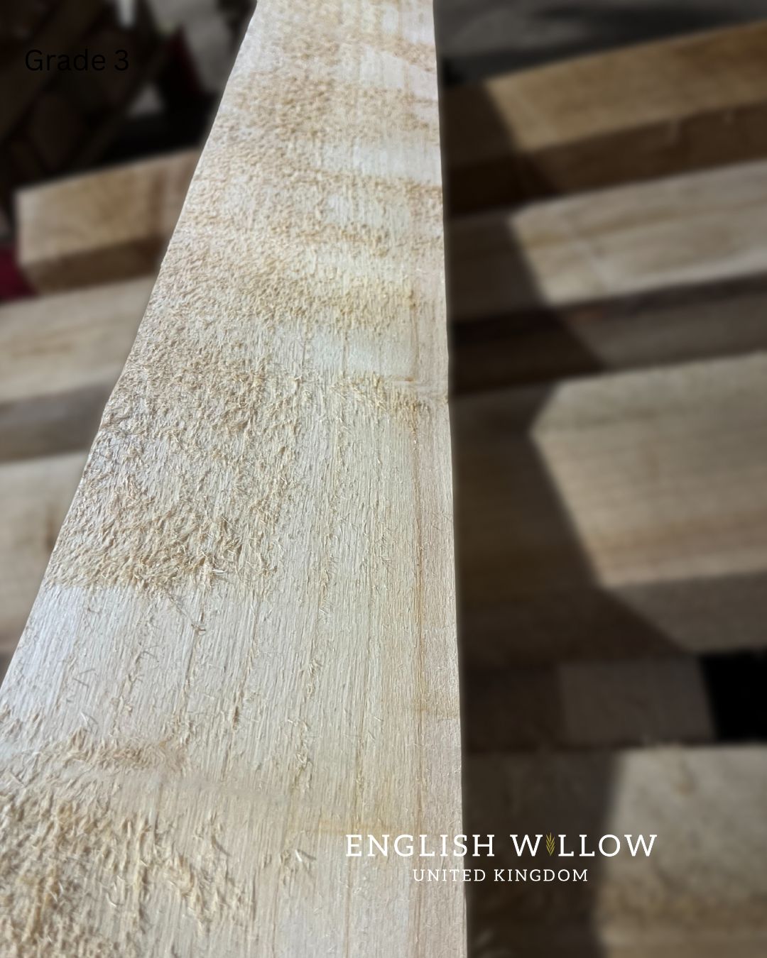 Grade 3 English willow cleft