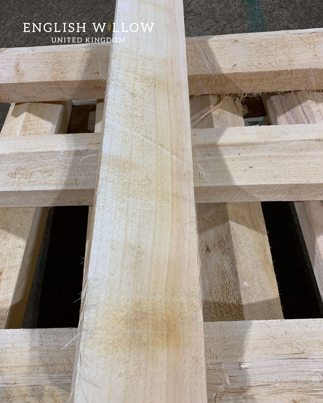 Grade 4 English willow cleft