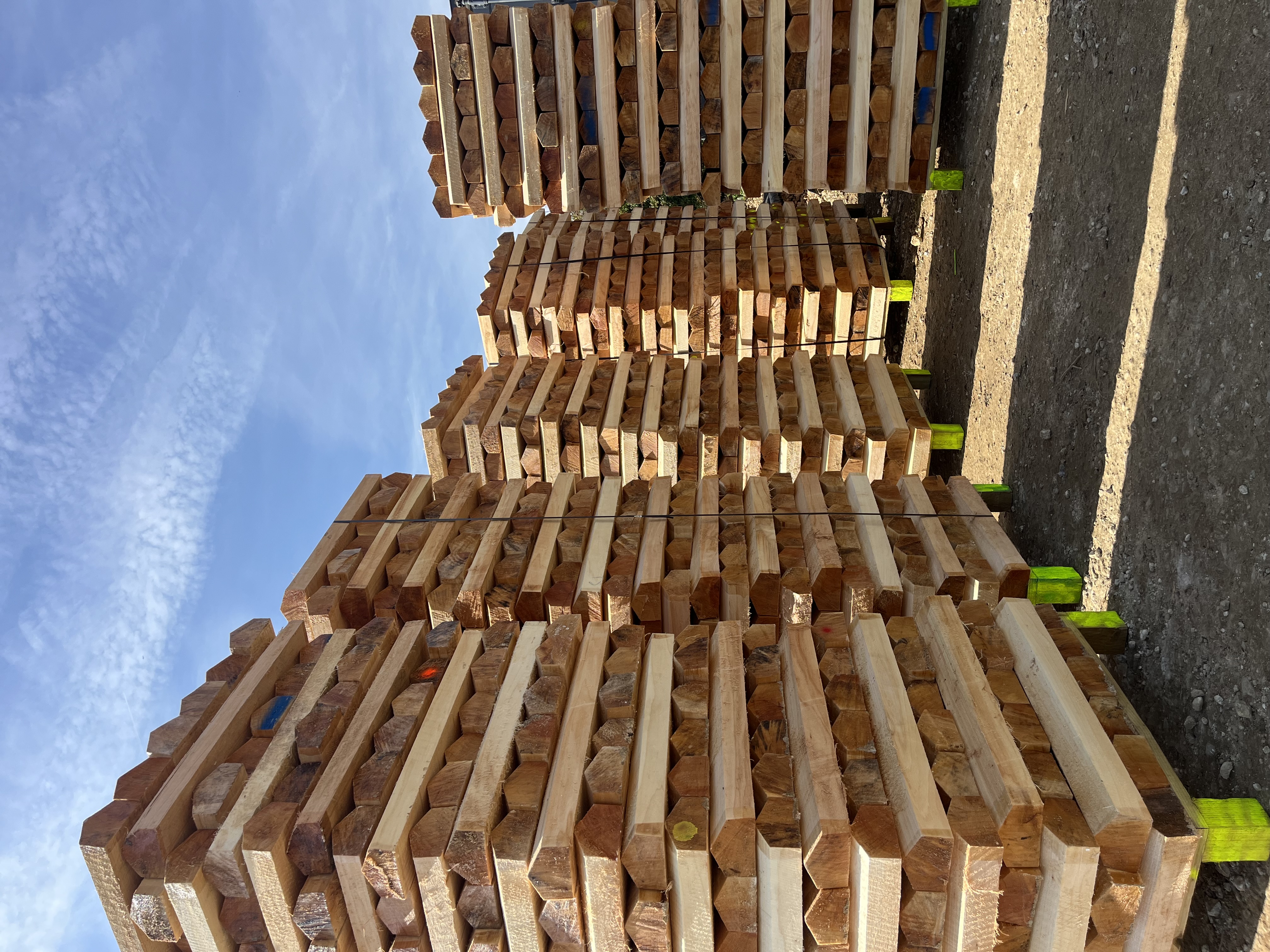 Export-ready English willow shipment